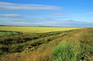 Fenland: Norfolk UK - scenic fenland