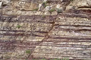 Fault: Normal Fault