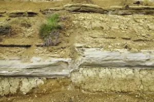 Strata: Normal Fault