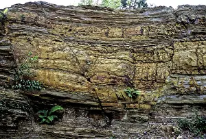 Sarawak: Normal Faults, Sarawak, Malaysia