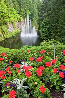 Leave: North America. Canada. BC. Victoria. Butchard