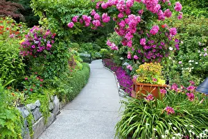 Leave: North America. Canada. BC. Victoria. Rose