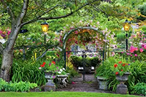 Leave: North America. Canada. BC. Victoria. Rose