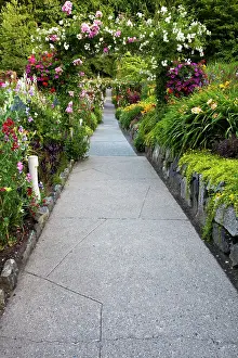 Leave: North America. Canada. BC. Victoria. Rose