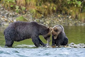 Jackrel: North America, Canada, British Columbia