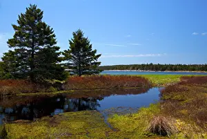 Scotia: North America, Canada, Nova Scotia, Little