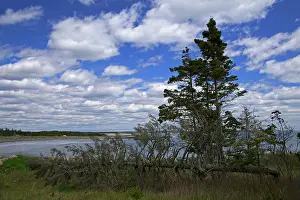 Scotia: North America, Canada, Nova Scotia, Martinique