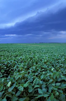 Jerry: North America, US, MD, A storm front moves