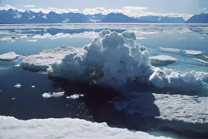 Seascapes: North East GREENLAND - ICE PACK