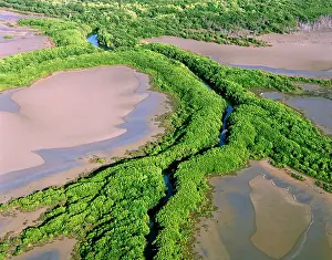 Kennedy: North Kennedy River - Mangrove-lined banks