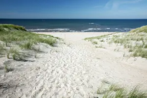 Marram: North Sea - Sand Dunes and Marram Grass - on empty beach