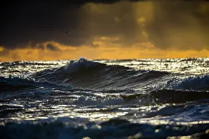 Waves: North Sea, stormy seascape with single seagull flying