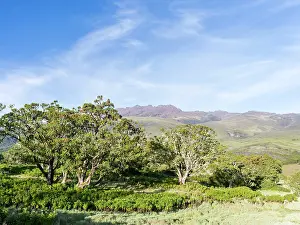 Northeast: Northeast Mount Kenya National Park (a UNESCO