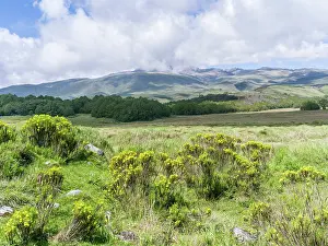 Northeast: Northeast Mount Kenya National Park (a UNESCO