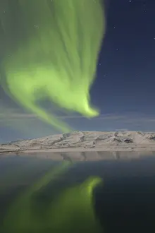 Hornafjoedur: Northern Lights
