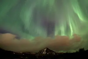 Reykjavik: Northern Lights