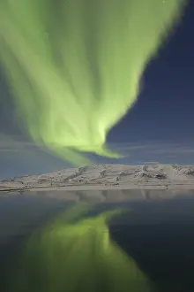 Borealis: Northern Lights