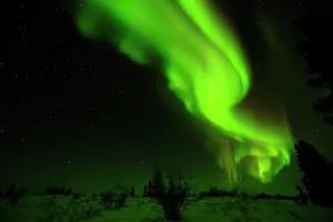 Filled: Northern Lights, aurora borealis above the Arctic