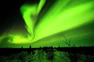 Filled: Northern Lights, aurora borealis above the Arctic
