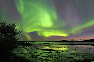 Situation: Northern Lights (aurora borealis), fjord at low