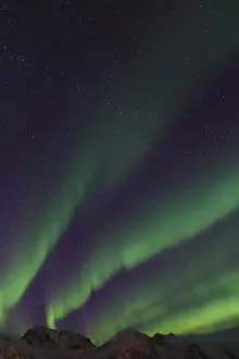 Wavy: Northern Lights - Aurora Borealis over the Lofoten - Norway
