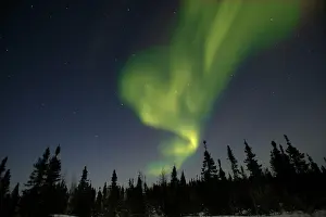 Evironment: Northern lights / Aurora borealis - in night sky