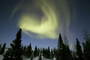 Evironment: Northern lights / Aurora borealis - in night sky