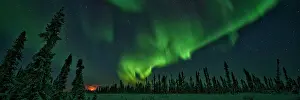Peter Mather: Northern Lights Black Spruce Boreal Forest, Eagle