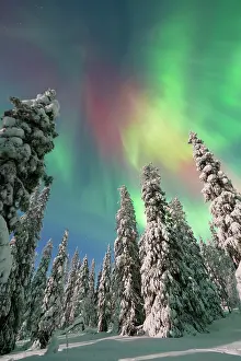 Finland: Northern lights Finland