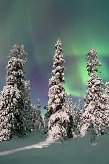Finland: Northern lights Finland