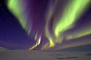Precipitation: Northern Lights, North East Coast Greenland