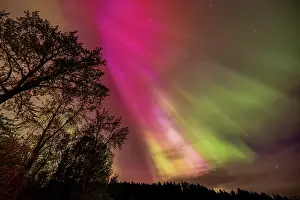 Whitefish: The Northern Lights shine bright in Whitefish, Montana, USA
