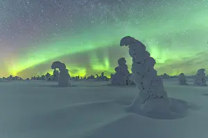 Finnish: Northern Lights over Snowed-in Trees, Winter Lan