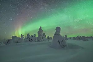 Finnish: Northern Lights over Snowed-in Trees, Winter Lan