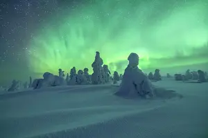 Finnish: Northern Lights over Snowed-in Trees, Winter Lan