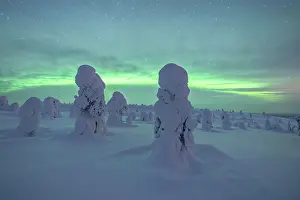 Finnish: Northern Lights over Snowed-in Trees, Winter Lan