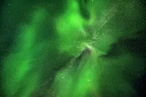 Starry: Northern lights in front of a starry sky, Leknes