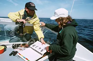 Study: Northern Right WHALE RESEARCH