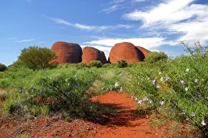 Uluru: Northern Territory, Outback, Australia