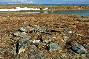 Norse: Norway. Exploring an old settlement at Kingodden