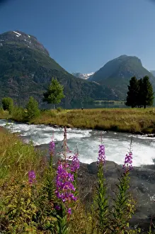 Geiranger: Norway, Geirangerfjord District. Jostedalsbreen