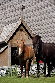 Viking: Norway, Nordland, Lofoten Archipelago, Borgelva