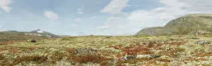 Dovrefjell: Norway panorama