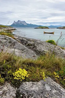 Sedum: Norway. Rock slab with Sedum sp. and traditional