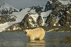 Fuglefjorden: Norway, Spitsbergen, Fuglefjorden. Polar