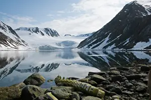 Balaenoptera: Norway, Spitsbergen, Sallyhammna. Vertebrae