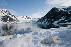 Balaenoptera: Norway, Spitsbergen, Sallyhammna. Vertebrae