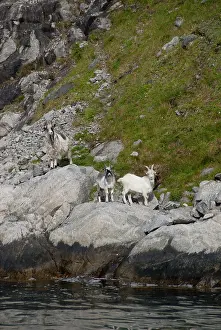 Lysefjord: Norway, Stavanger, Lysefjord (aka Lyse Fjord)