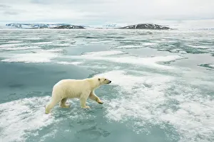 Traveling: Norway, Svalbard Archipelago, Spitsbergen