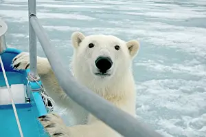 Investigating: Norway, Svalbard Archipelago, Spitsbergen